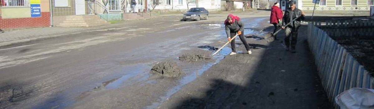 Бібліотекарі – за чисте довкілля