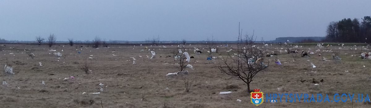 Впорядкування узбережжя річки Хомори