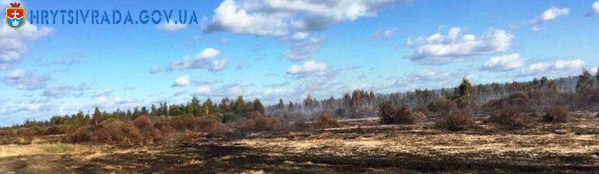 Чим небезпечні торф’яні пожежі