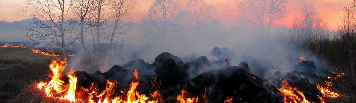 Про небезпеку виникнення пожеж при спалюванні сухої трави