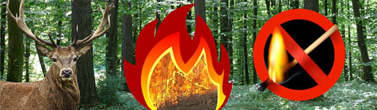 Як запобігти пожежі у навколишньому середовищі